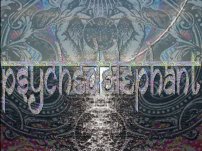 psychedelephant
