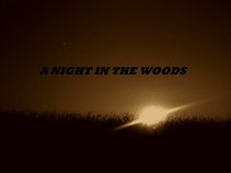 A Night In The Woods