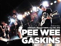 Pee Wee Gaskins (Not Official)
