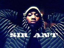 Sir Ant