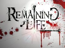 Remaining Life