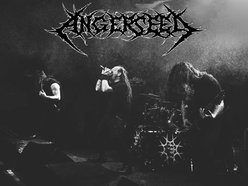 Image for Angerseed