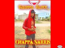 Chappa Narris
