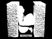 Neurospora