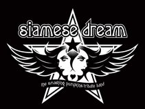 Siamese Dream (The Smashing Pumpkins Tribute Band)