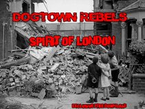 THE DOGTOWN REBELS