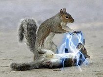 Electric Squirrel