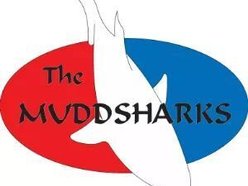 Image for The Muddsharks