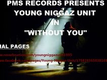 Young Niggaz Unit
