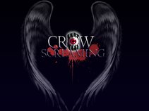 CROW SCREAMING