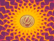 Without A Net - Grateful Dead Tribute
