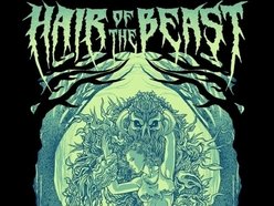 Image for Hair of the Beast