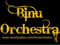 Binu Orchestra