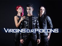 Virgins O.R Pigeons