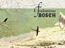 Felonious Bosch