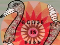 Goose Is Dead