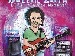 Image for Dweezil Zappa