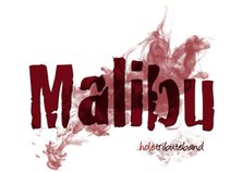 Malibu-Hole Tributeband