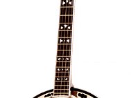 Deering Maple Blossom Banjo