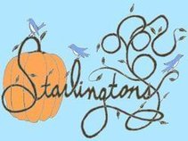 the starlingtons