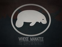 Whose Manatee Is Drowning