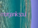 Morganik Soul