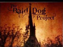 The Bald Dog Project