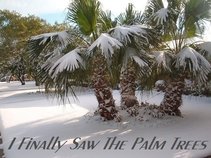 I Finally Saw The Palm Trees
