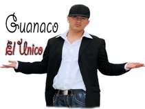 Guanaco El unico