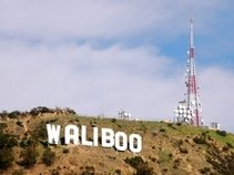 WaliBoo Band