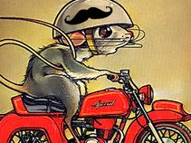 Mouse On A Motorcyle