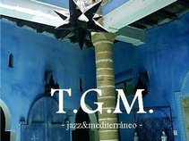TGM  (Triano Groove Machine)