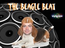 The Beagle Beat