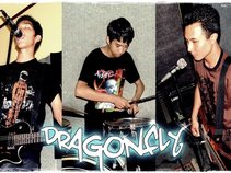 DRAGON FLY BALI INDONESIA
