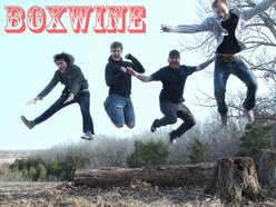 Image for Boxwine