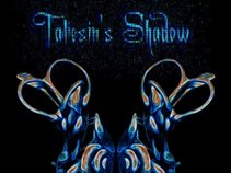 Taliesin's Shadow