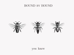 Image for Bound by Hound