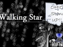 Walking Star llc
