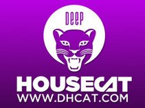 Deep House Cat