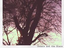 Cedars and the Stars