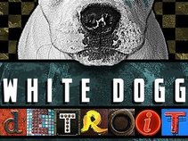White Dogg Detroit
