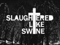 Slaughtered Like Swine