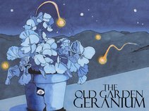 The Old Garden Geranium
