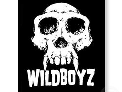 Image for The Wild Boyz