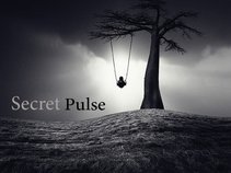 Secret Pulse