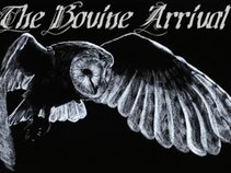 Shane Hamilton/The Bovine Arrival/Fire Bullets