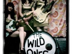 Image for The Wild Ones