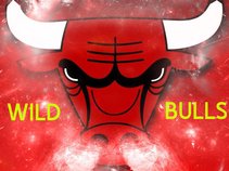 Wild Bulls