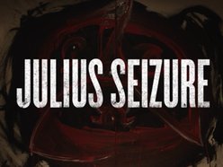 Image for JULIUS SEIZURE