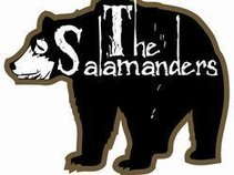 THE SALAMANDERS